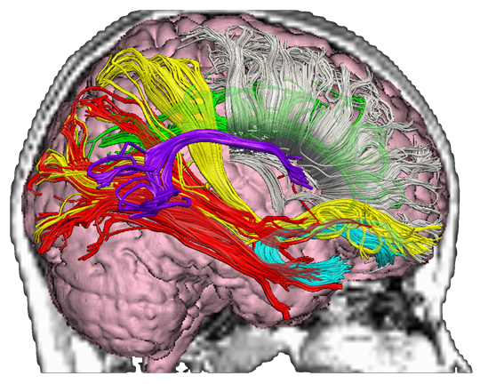 Brain Injury Help center
